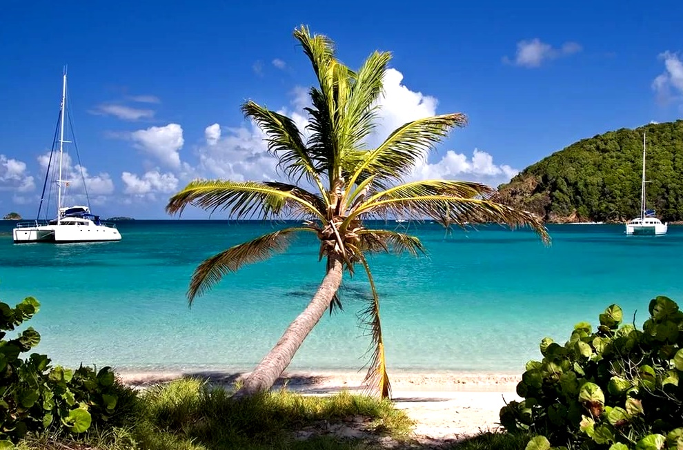 Удивительная природа Мюстика